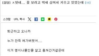 피고인 그게 최후 진술입니까?