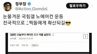 국힘갤 노에어컨 운동