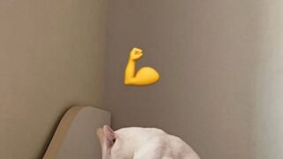 네츄럴과 장비빨