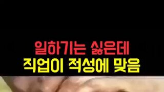 일하기는 싫은데 직업이 적성에 맞는 경우.mp4