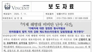 다소 충격적인 비비탄 난사 노견 사망사건 근황