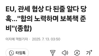 EU, 관세 협상 다 된줄 알다 당혹…'합의 노력하며 보복책 준비'(종합)