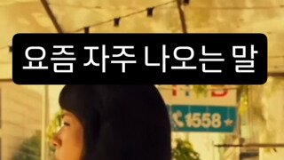 요즘 자주 나오는 말.mp4