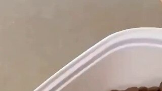 주인이 실수하자 거울치료를 시전하는 보리꼬리.mp4