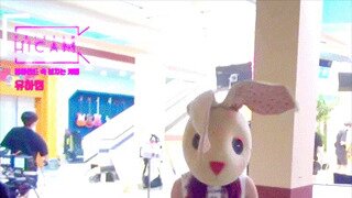 몽골 여행 가보신분있나요?