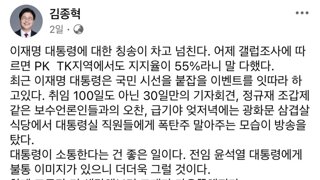 국힘 김종혁 페북
