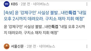 레이드 연기
