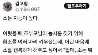 소는 영리하다