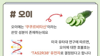 오이 못 먹는 사람?
