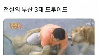 부산 전설의 3대 드루이드