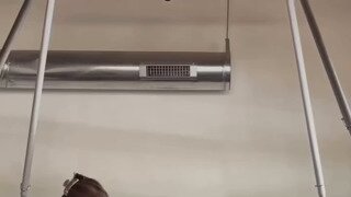 발레리나의 밸런스