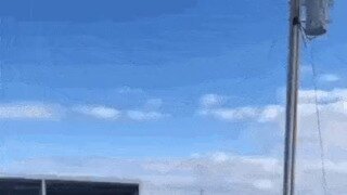 냥이 전용탈것