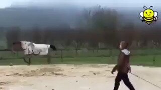 어릴때부터 말과 함께 자란 소