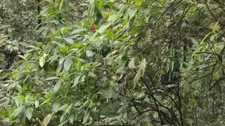 ㅇㅎ) 출렁다리 건너는 누나