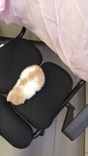 축구 수준 어휴