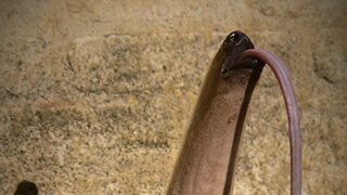 주식 개미들 심각한 상황
