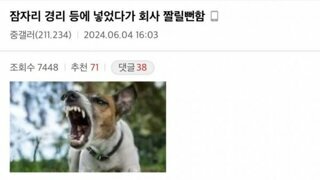 잠자리 경리 등에 넣었다가 회사 짤릴뻔