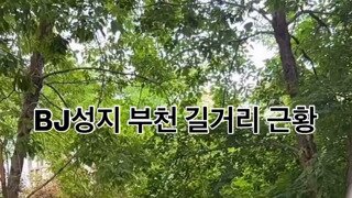 ㅇㅎ)BJ성지 부천 길거리 근황