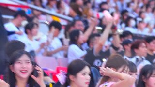 제대로 똥볼 차고 있는 어느 정당