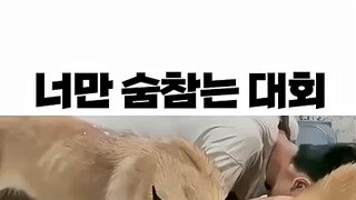 꼼수를 알아챈 댕댕이