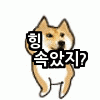 스티커 이미지