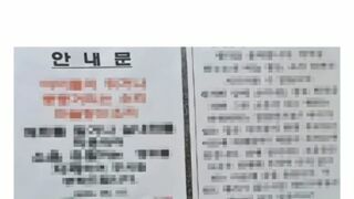 캣맘들이 사라진 이유