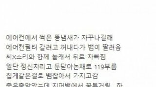 차에 똥내나몀 조심해야함