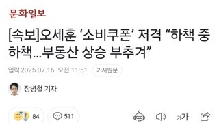 [속보]오세훈 ‘소비쿠폰’ 저격 “하책 중 하책…부동산 상승 부추겨”
