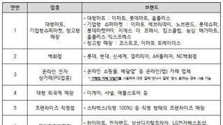 민생회복 소비쿠폰 사용 제한 업종