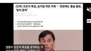 정신나간검새 조특검 조사를? ㅋ