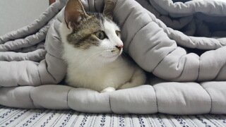 올리는 글마다 댓글에 이상한 사람이 붙었는데