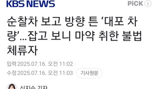 순찰차 보고 방향 튼 ‘대포 차량’…잡고 보니 마약 취한 불법 체류자