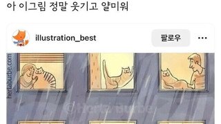 비 오는 날 개와 고양이의 차이