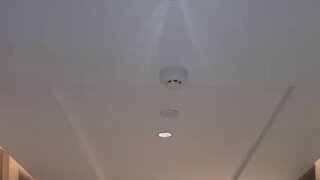케데헌주의) 산으로 가고잇는 사자보이즈 포즈