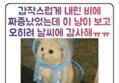 썸네일 이미지