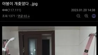 썸네일 이미지