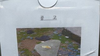어느 아파트에 붙은 공고