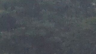 실시간 서산, 지붕만 남기고 다 잠김 상태입니다. - 보배펌