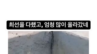 우물안의 개구리