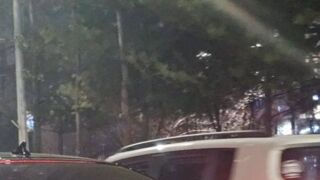 이렇게 하면 양보 잘 해줄거라 했지?