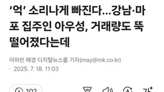 ‘억’ 소리나게 빠진다…강남·마포 집주인 아우성, 거래량도 뚝 떨어졌다는데