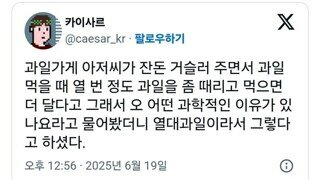 과일을 때리고 먹으면 더 맛있는 이유