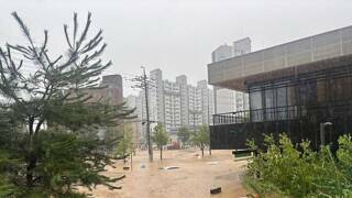 폭우에 침수된 광주 신안동 스타벅스