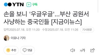 손을 보니 우글우글.. 부산 공원에서 사냥하는 중국인들