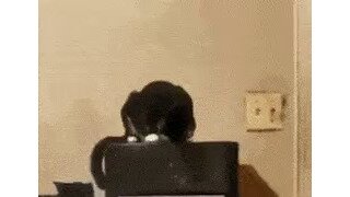 우리집 정수기는 얼음도 나와!
