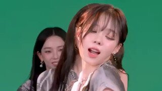 태어나서 비를 처음 맞는 오리 새끼들