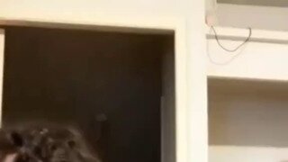 냥이주의) 이래서 조ㅈ냥이라 부르는구나...