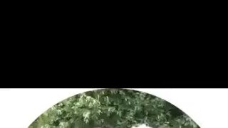 처참한 여성인권의 현실