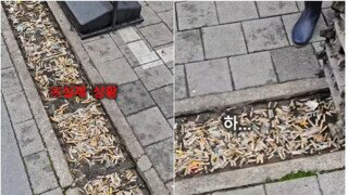 배수로 막는 담배꽁초 어떻게 보심?
