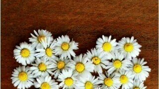 요즘 MZ조폭 인사법.gif